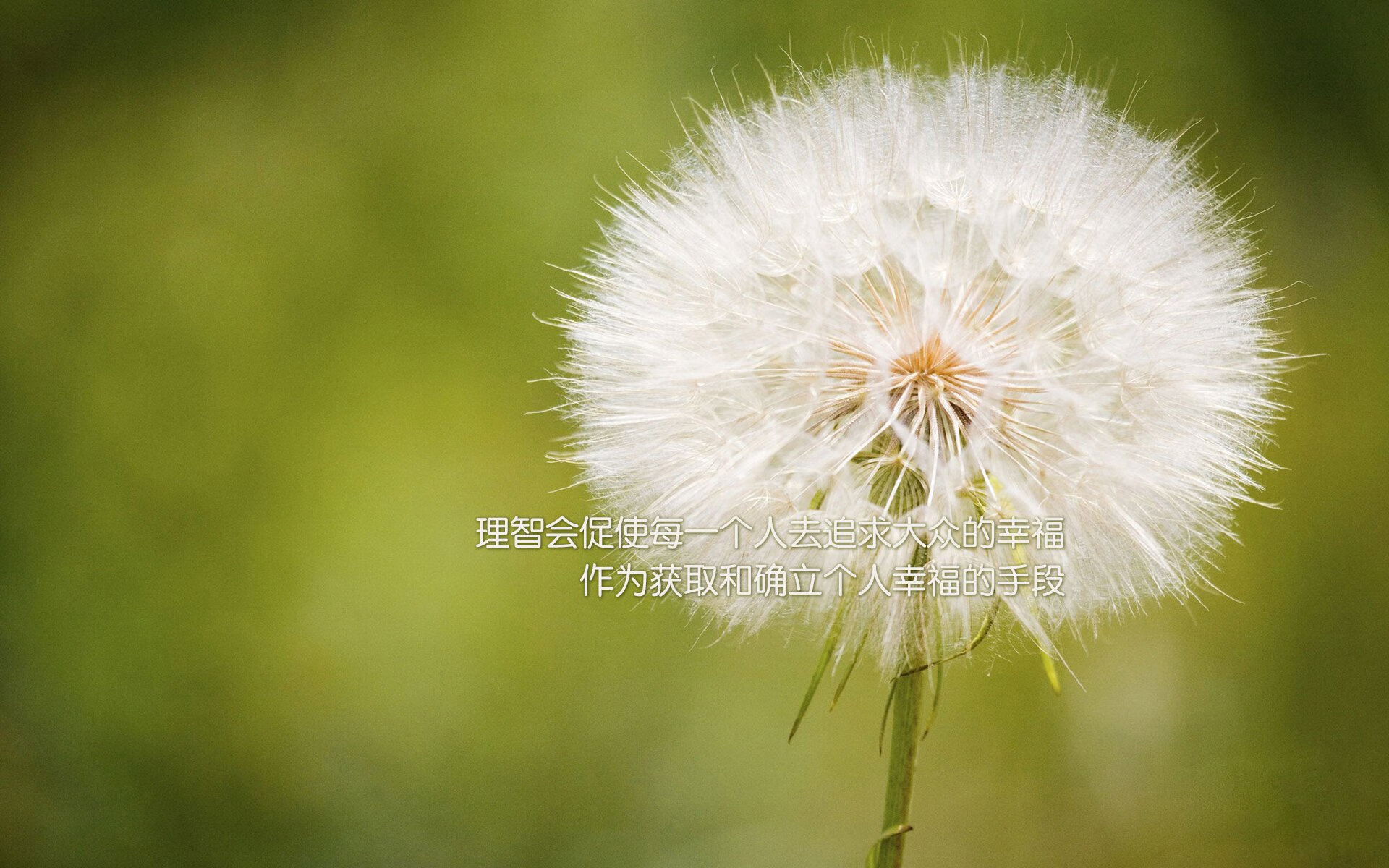 库里爆发与步行者战术,双重视角下的现代篮球博弈
